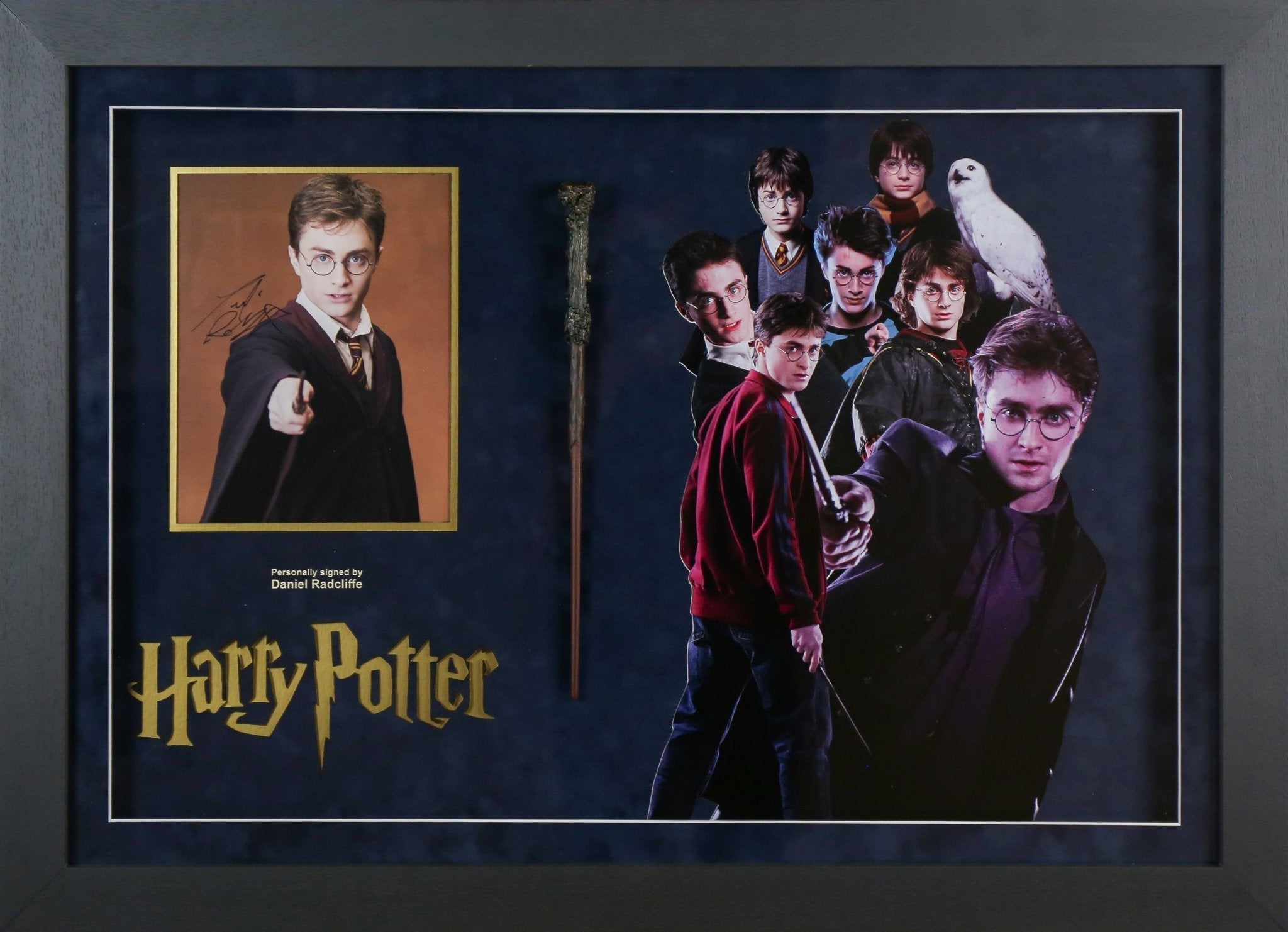 Daniel Radcliffe Signed Harry Potter 12x8 Photograph Framed Display With Wand - Memorabilia Framers Shop